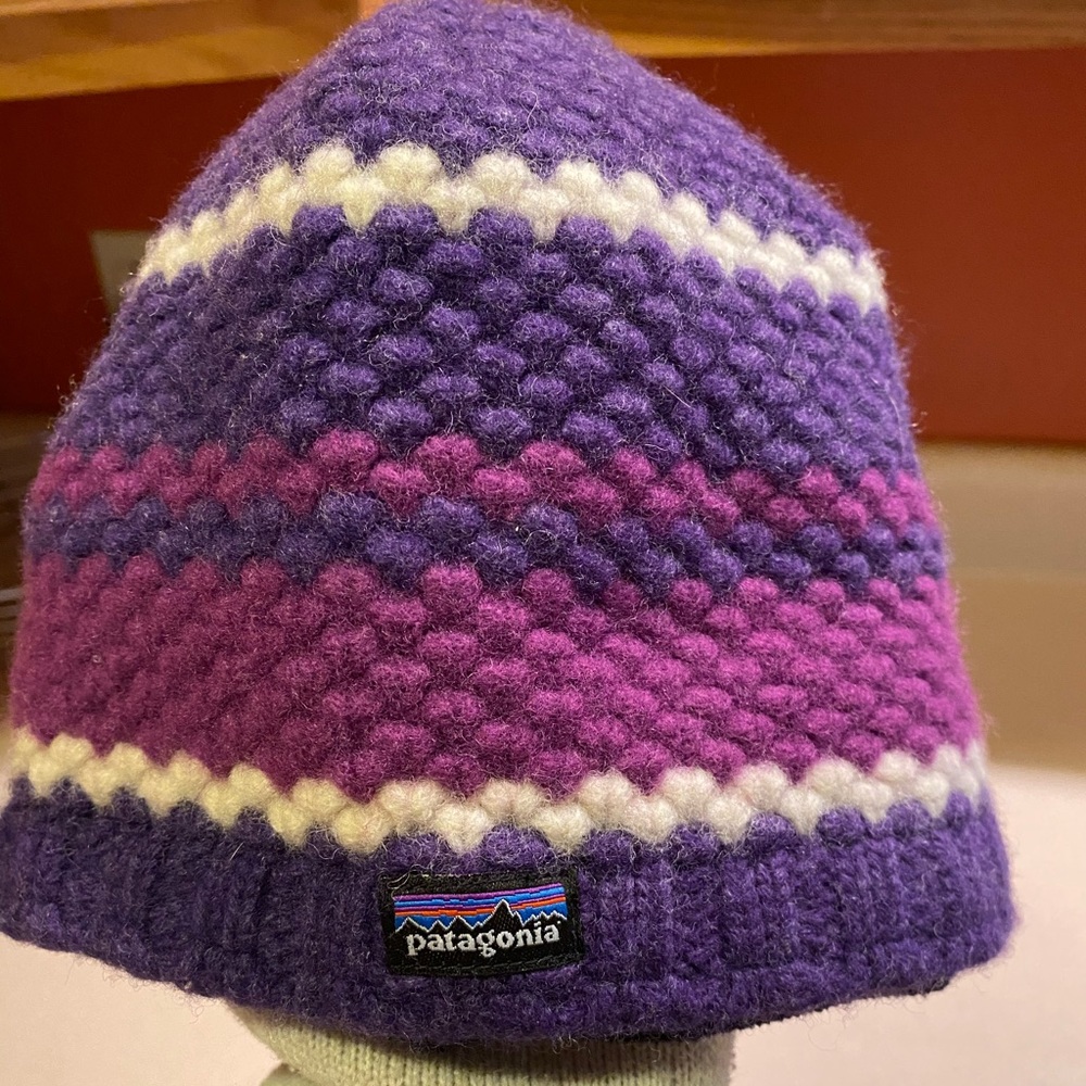 Patagonia Winter Beanie